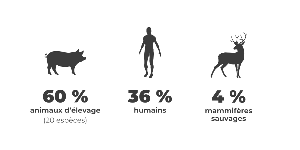 Biomasse terrestre mammiferes