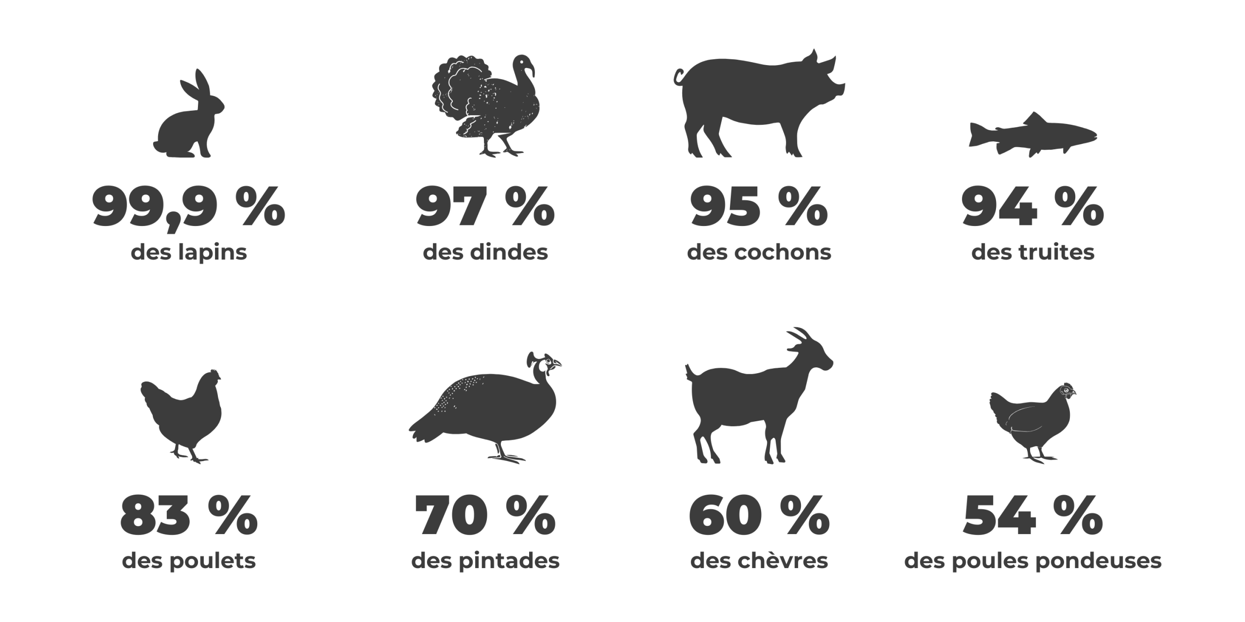 Elevages animaux abattus